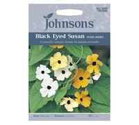 Johnsons Black Eyed Susan Susie M Seeds