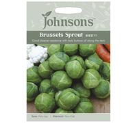 Johnsons Brussels Sprout Brechin F1 Seeds