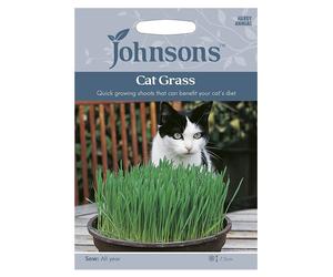 Johnsons Cat Grass - Avena sativa Seeds