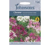 Johnsons Cleome Colour Fountain Mixed Flower Seeds