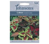 Johnsons Coleus Rainbow Mixed Seeds