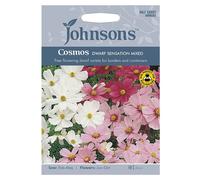Johnsons Cosmos Dwarf Sensation M Seeds