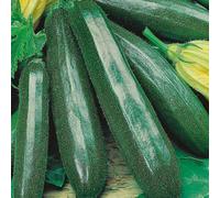 Johnsons Courgette Primula F1 Seeds