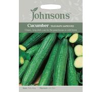 Johnsons Cucumber Telegraph Impro Seeds