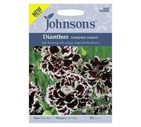 Johnsons Dianthus Chinensis Chianti Flower Seeds