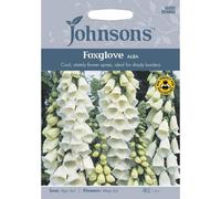 Johnsons Foxglove Alba Flower Seeds