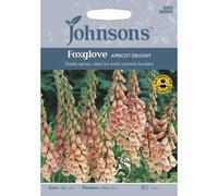 Johnsons Foxglove Apricot Delight Flower Seeds