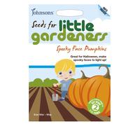 Johnsons Little Gardeners Spooky Face Pumpkins Seeds