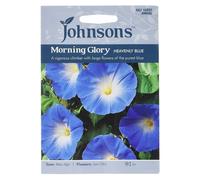 Johnsons Morning Glory Heavenly Blue Seeds