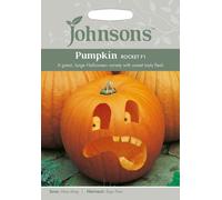 Johnsons Pumpkin Rocket F1 Seeds