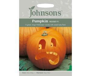 Johnsons Pumpkin Rocket F1 Seeds