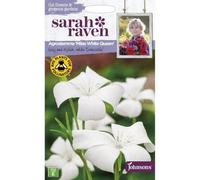 Johnsons Sarah Raven Agrostemma Milas White Queen Flower Seeds
