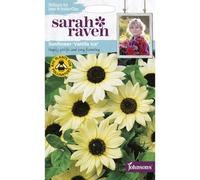 Johnsons Sarah Raven Sunflower Vanilla Ice Seeds