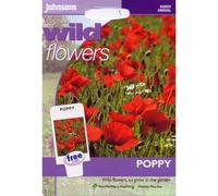 Johnsons Seeds - Pictorial Pack - Flower - Wildflower Poppy - 2000 Seeds