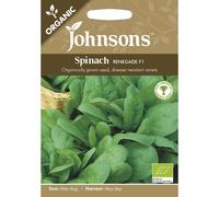 Johnsons Seeds - Pictorial Pack - Vegetable - Spinach Renegade F1 (ORGANIC) - 250 Seeds