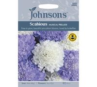 Johnsons Seeds Scabious Musical Prelude - Pictorial Pack, 45 Seeds, Blue/White, Attracts Bees & Butterflies, Ideal Cut Flower Border