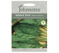 Johnsons Spinach Beet Perpetual Spinach Seeds