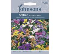 Johnsons Statice Art Shades Mixed Flower Seeds