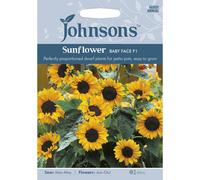 Johnsons Sunflower Babyface F1 Seeds