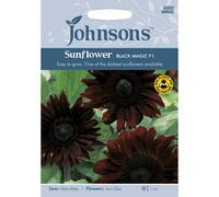 Johnsons Sunflower Black Magic F1 Seeds