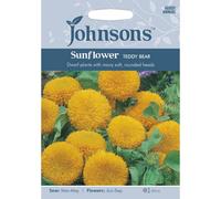 Johnsons Sunflower Teddy Bear Seeds