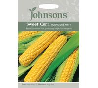 Johnsons Sweet Corn Bodacious RM Seeds