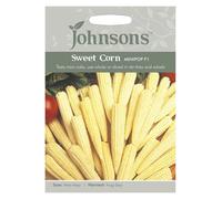 Johnsons Sweet Corn Minipop F1 Seeds