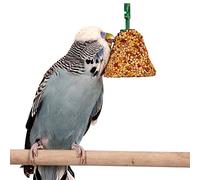 Johnson's Fruit and Honey Bell Bird Treat - Single