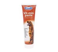 Johnsons Vit-Min Paste Dogs 100gm