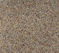 Johnston & Jeff 4kg Plain Canary bird seed food sold by Trusty Pet Supplies