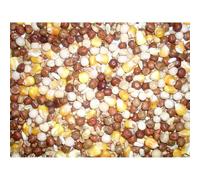 Johnston & Jeff All Rounder Pigeon Corn, 20 kg