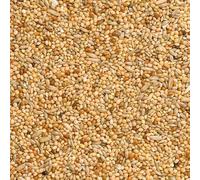 Johnston & Jeff Budgie Seed Food Feed 10kg 5kg 3kg 2kg 1kg 500g (10kg)