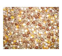 Johnston & Jeff Four Seasons General Economy Pigeon Seed Mix, 20 kg (Pack of 1)