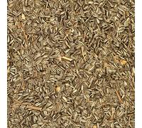 Johnston & Jeff Medium Striped Sunflower Seed 10Kg - Wild Bird Seed