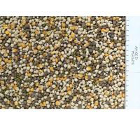 Johnston & Jeff Mixed Pulses