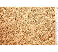 Johnston & Jeff Peanut Granules Wild Bird Food, 12.75 kg | Small peanut pieces make energy-rich feeding easy for a wider range of garden visitors.