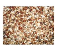 Johnston & Jeff Pigeon Breeding Corn Mix, 20 kg