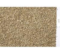 Johnston & Jeff White Sunflower Seed 12.5kg
