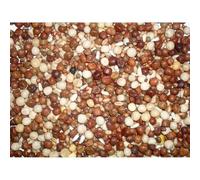 Johnston & Jeff Young Adult Bird High Protein No Maize Pigeon Corn, 20 kg