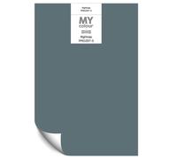 Johnstone's Paint Peel and Stick Sample Card MyColour Paint Colou Peel and Stick Sample Card