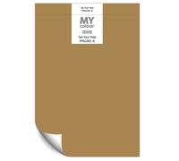 Johnstone's Paint Peel and Stick Sample Card MyColour Paint Colou Peel and Stick Sample Card