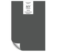 Johnstone's Paint Peel and Stick Sample Card MyColour Paint Colou Peel and Stick Sample Card