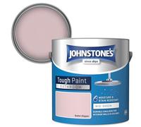 Johnstone's - Bathroom Paint - Ballet Slipper - Mid Sheen Finish - Stain Blocker Paint - Use in Moist & Damp Areas - Low Odour - Dry in 1-2 Hours - 12m2 Coverage per Litre - 2.5L
