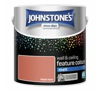 Johnstone's - Feature Wall Matt Paint - Maple Haze - 2.5L