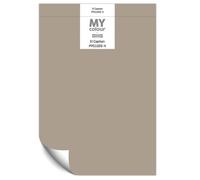 Johnstone's My Colour Durable Matt Paint El Capitan - Peel And Stick Sample