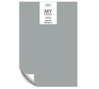 Johnstone's My Colour Durable Matt Paint Steel Mill - Peel And Stick Sample