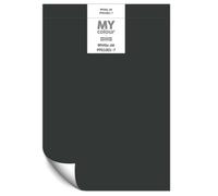 Johnstone's My Colour Durable Matt Paint Whitby Jet - Peel And Stick Sample
