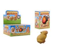 Johntoy toy Capybara egg growing in water - colorful experiment