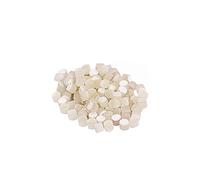 JOINPAYA 100pcs White Seashell Guitar Fret Inlays Markers 6.0mm Diameter Lightweight Fretboard Dot Inlays for Banjo Ukulele Decorations, Colour Fast and Easy to Mount