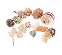 JOINPAYA 15pcs Mixed Beach Seashells Colorful Natural Seashells Coastal Aquarium Fish Tank Accessories For DIY Crafting Beach Style Home Party Decoration